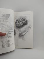 Of All that Ends / Günter Grass - Image 3