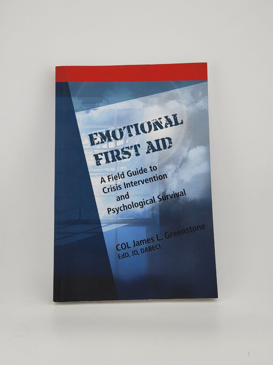 IMG_20240425_085849_826 Emotional First Aid / James L Greenstone - Image 1