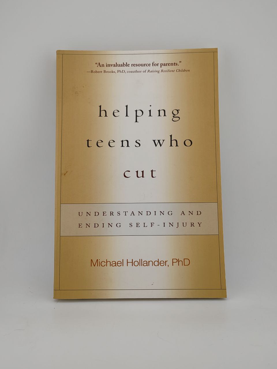 IMG_20240425_085901_871 Helping Teens Who Cut / Michael Hollander - Image 1