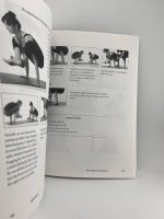 Yoga Adjustments / Mark Stephens - Image 3