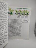 Molecular Biology of the Cell - Image 3