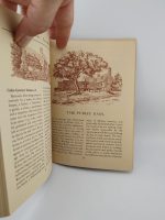 Colonial Williamsburg - Image 2