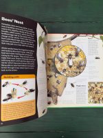 The World of Insect Life / Steve Weston - Image 2