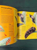 The World of Insect Life / Steve Weston - Image 3