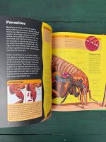 The World of Insect Life / Steve Weston - Image 4