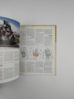 La Grande Encyclopédie / Larousse - Image 5