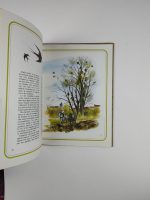 Animaux de la Maison du Jardin - Image 4