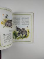 Animaux de la Maison du Jardin - Image 5