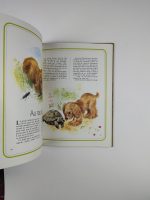 Animaux de la Maison du Jardin - Image 6
