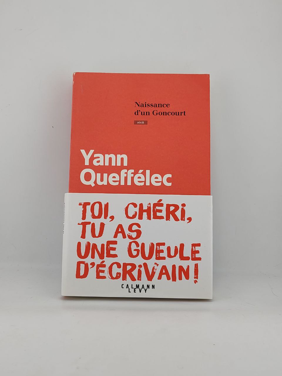 IMG_20250226_140159_852 Naissance d’un Goncourt / Yann Queffélec - Image 1