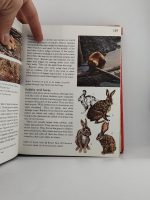 Macmillan Children's Encyclopedia - Image 2