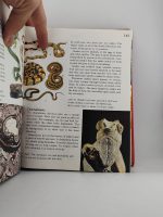 Macmillan Children's Encyclopedia - Image 3