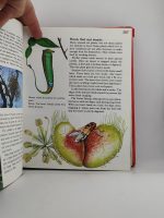 Macmillan Children's Encyclopedia - Image 4