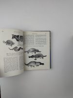 Biological Science: Molecules to Man / Biological Sciences Curriculum Study - Image 3