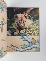 Bébés Animaux / Walt Disney - Image 3