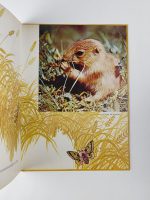 Bébés Animaux / Walt Disney - Image 4