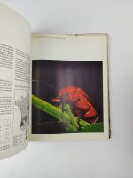 La Forêt / Sélection du Reader's Digest - Image 2