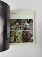 La Forêt / Sélection du Reader's Digest - Image 3