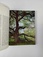 La Forêt / Sélection du Reader's Digest - Image 4