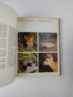 La Forêt / Sélection du Reader's Digest - Image 5