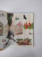 Der Tropische Regenwald / Gerard Cheshire - Image 2