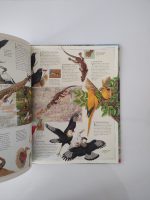Der Tropische Regenwald / Gerard Cheshire - Image 3