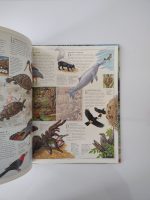 Der Tropische Regenwald / Gerard Cheshire - Image 4