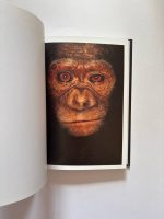James & Other Apes / James Mollison - Image 2