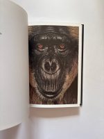 James & Other Apes / James Mollison - Image 3