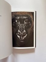 James & Other Apes / James Mollison - Image 4