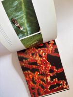 DEADLY INSTINCT / MELISSA FARRIS - Image 2