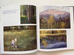 The Art and Life of Jimmie Jones - Image 5