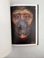 James & Other Apes / James Mollison - Image 2