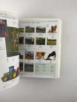 Mandarin Chinese-English Visual Bilingual Dictionary / DK - Image 3