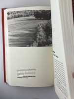 Masters & Masterpieces of Iranian Cinema / Hamid Dabashi - Image 2