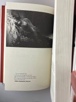 Masters & Masterpieces of Iranian Cinema / Hamid Dabashi - Image 3