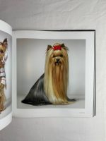 Dogs / Tim Flach - Image 2