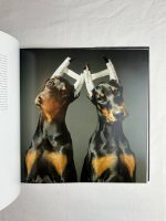 Dogs / Tim Flach - Image 4
