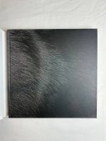 Dogs / Tim Flach - Image 5