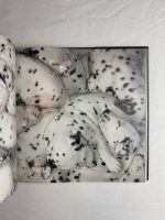 Dogs / Tim Flach - Image 6