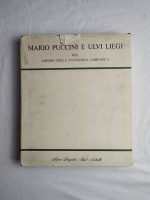 Mario Puccini e Ulvi Liegi nel lirismo della tavolozza labronica / Mario Borgiotti - Paul Nicholls